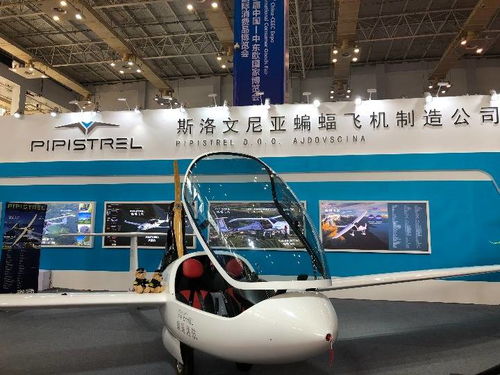 高技術(shù)與特色產(chǎn)品亮相中東歐博覽會(huì)，推動(dòng)國際技術(shù)開發(fā)合作